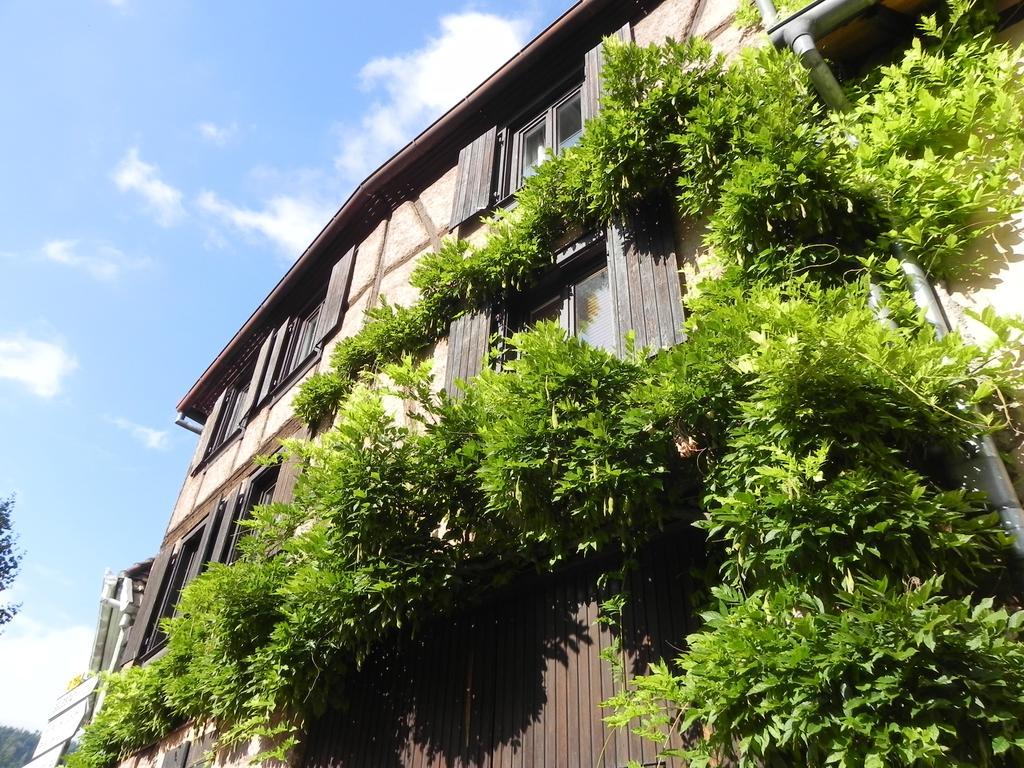 Le Nid De Cigognes Kintzheim Villa Exterior foto